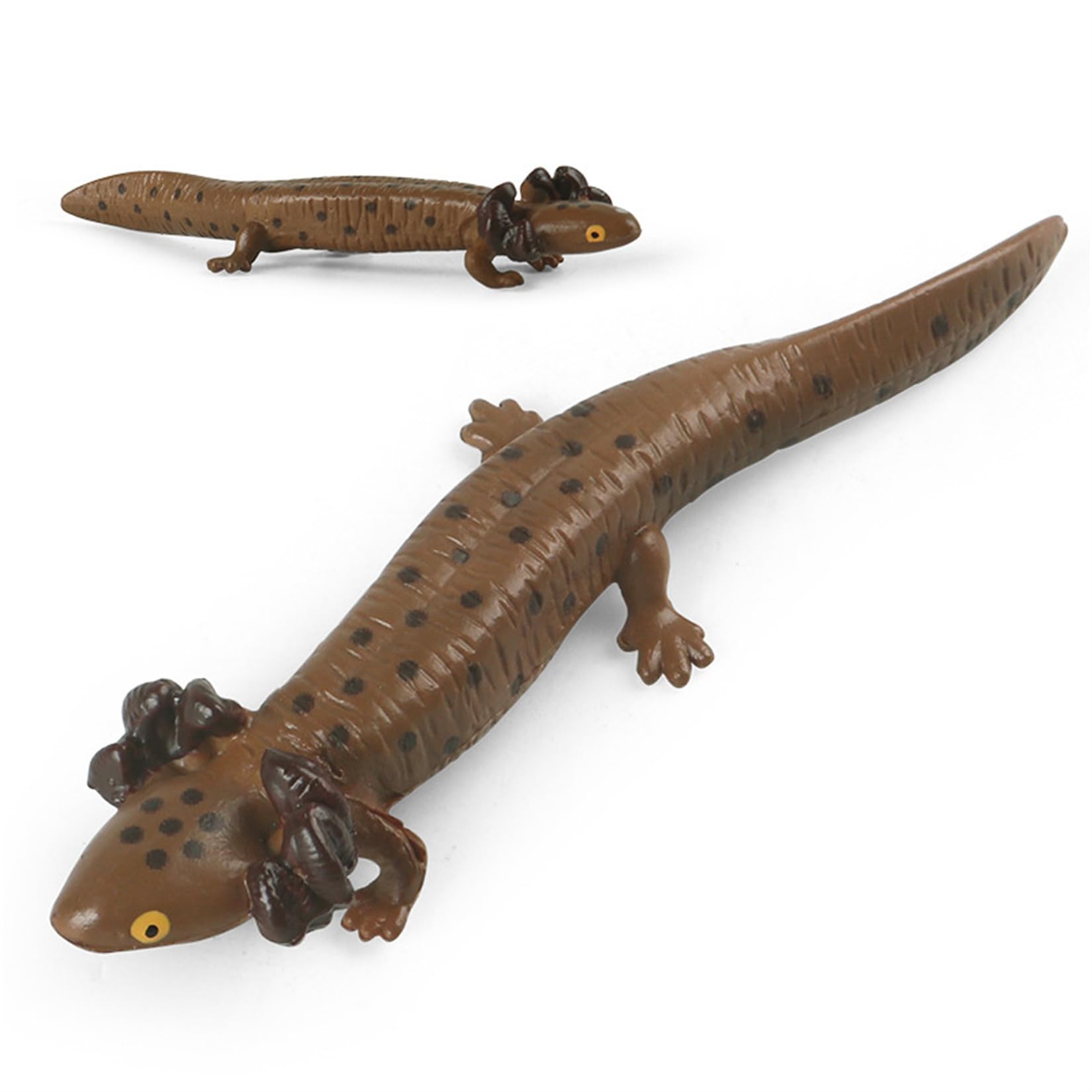 極美品【1点物】アカハライモリ② 8-9cm 50ml Amazon | EUHELOPA アカハライモリ フィギュア 蠑螈 有尾目
